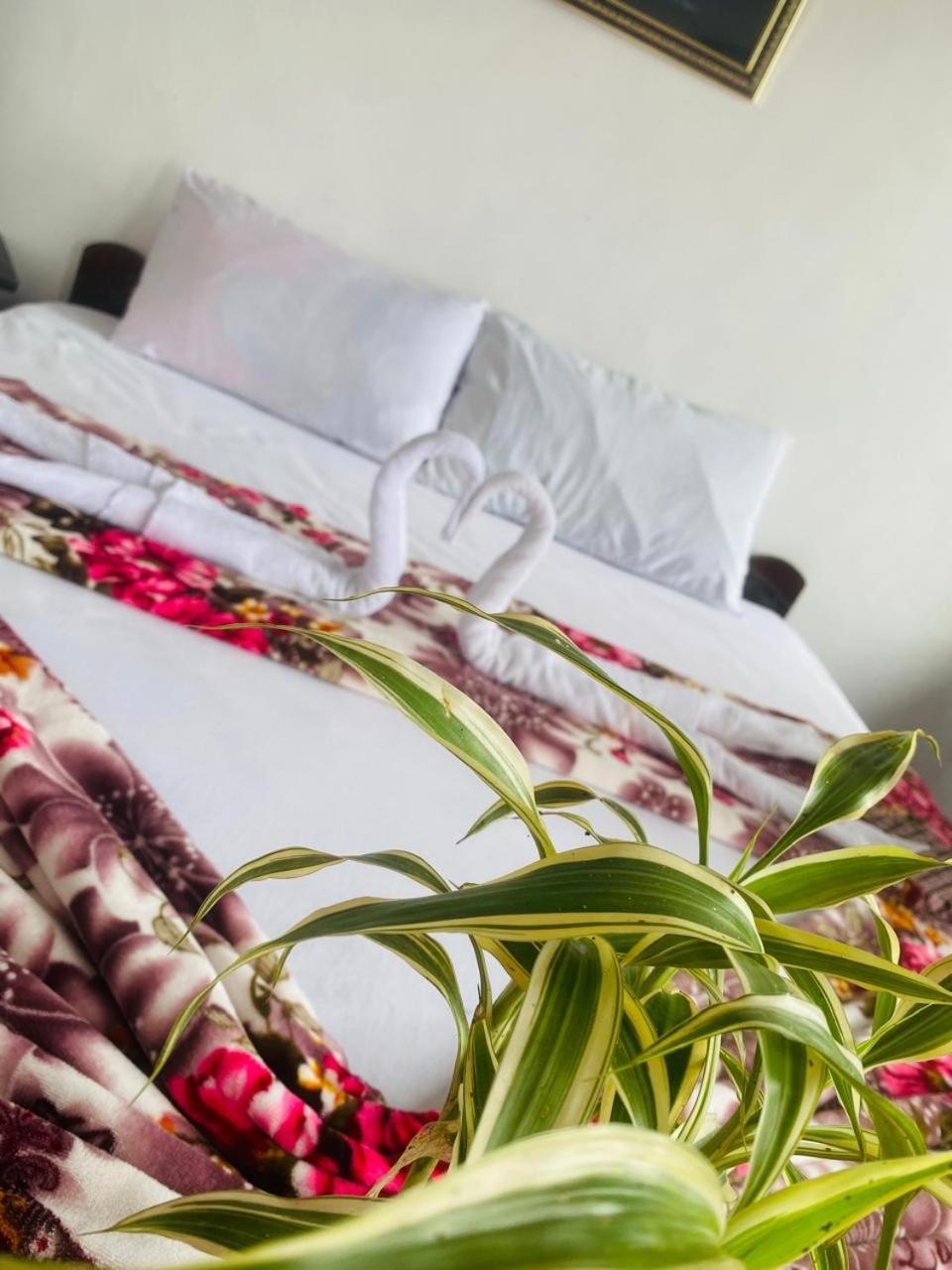 Farah Guest Inn Haputale Bagian luar foto