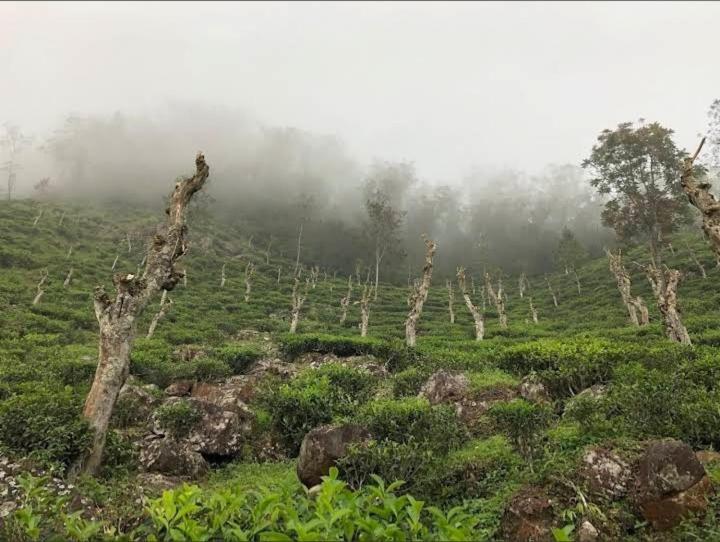 Farah Guest Inn Haputale Bagian luar foto